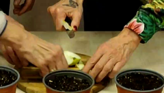 vlcsnap-2026-02-15-13h29m20s505