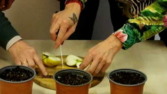 vlcsnap-2026-02-15-13h29m46s348