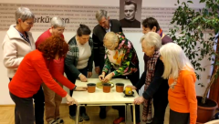 vlcsnap-2026-02-15-13h30m34s143