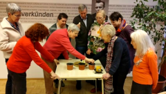 vlcsnap-2026-02-15-13h31m35s108