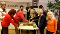 vlcsnap-2026-02-15-13h31m46s882